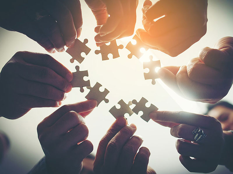 Mau Karyawan di Kantor Makin Solid? Tim Building Solusinya